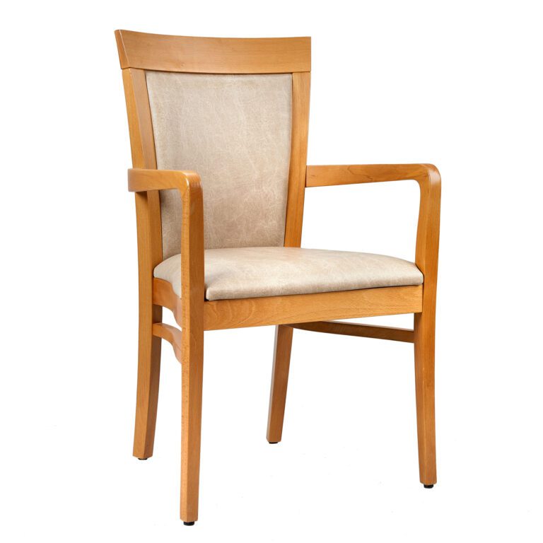 Talin Chair With Arms