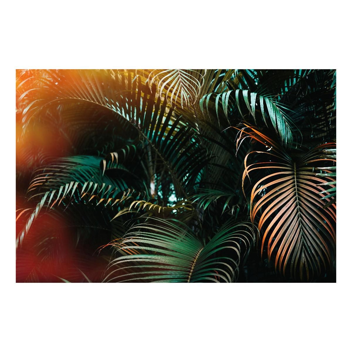 Koppla L002 Palm Canvas